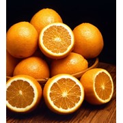 Апельсины, купить апельсины, в Украине фото