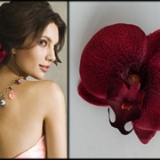 Заколки для волос с орхидеями . фото