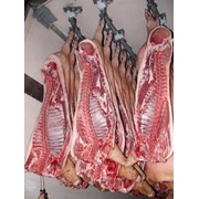 Свинина полутуши, Мясо свинина фото