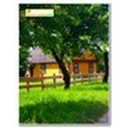 Сеть агроусадеб в Беловежской пуще фото