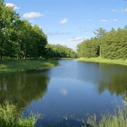 Элитный пруд фото