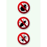 Битва с клещами фото