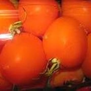 Томаты консервированные, помидоры фото