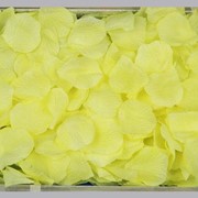 ПЦ178 Лепестки роз (Лимонный) фото