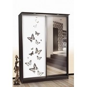 Шкафы-купе с пескоструем фото